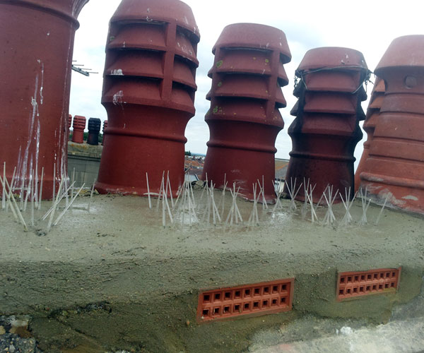 Bird spikes fitted to chimney ledge